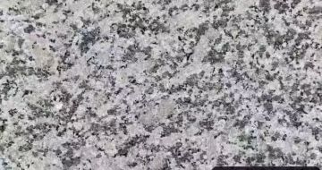 普洱 芙蓉白（芝麻白大花）火烧面