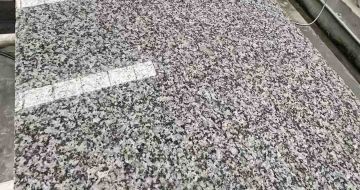 普洱 芙蓉白光面