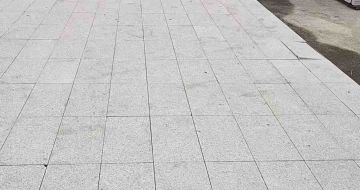 普洱芝麻白地铺案例