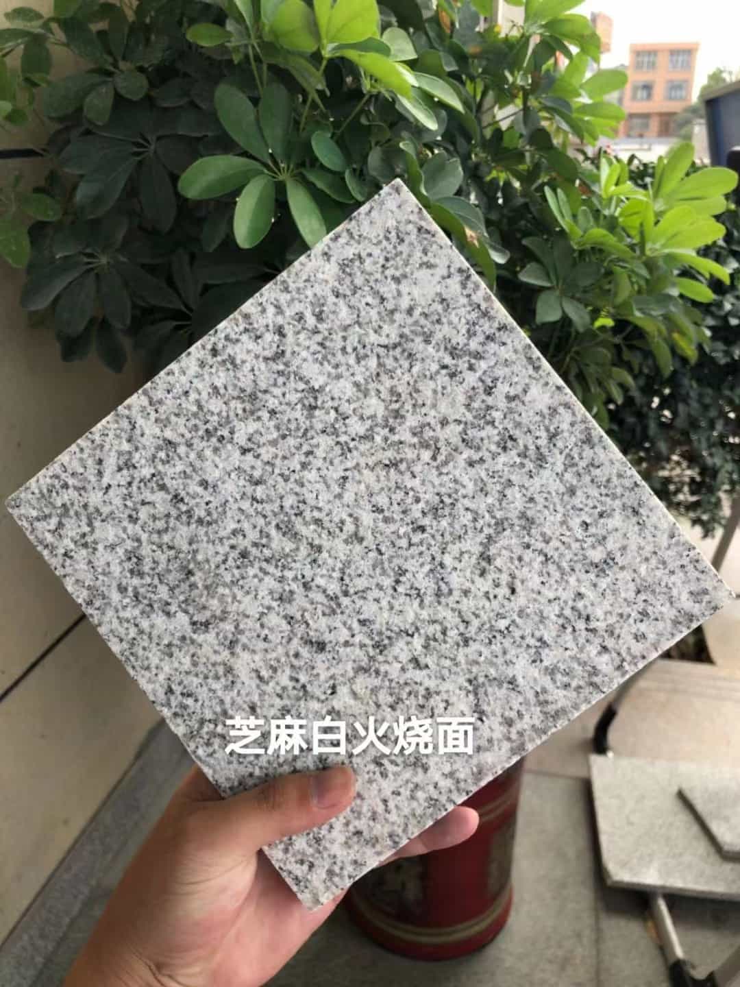 普洱芝麻白火烧面地铺