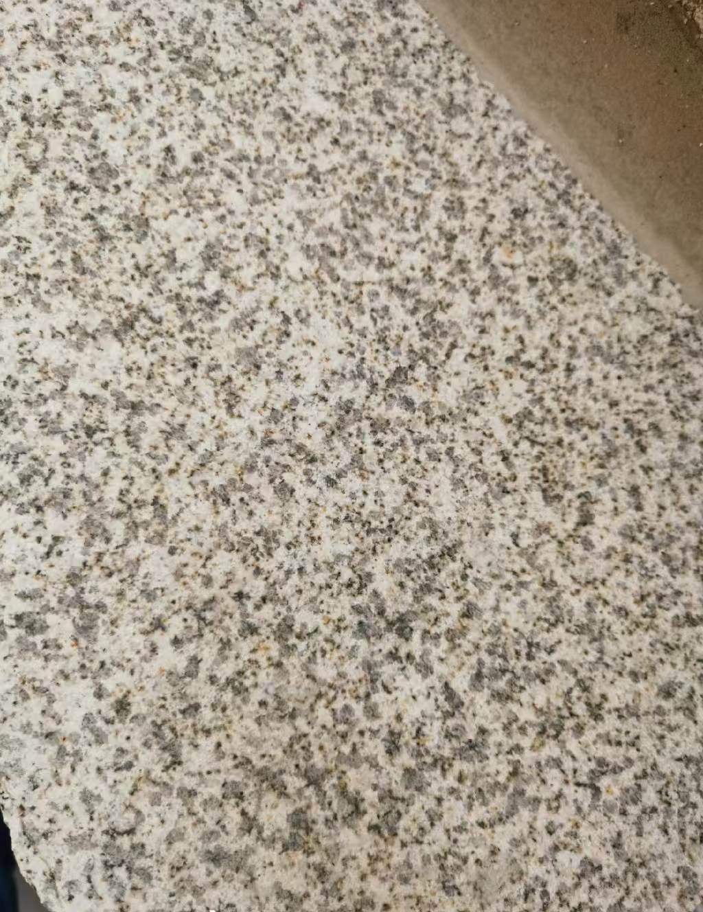 普洱 黄金麻中黄光面