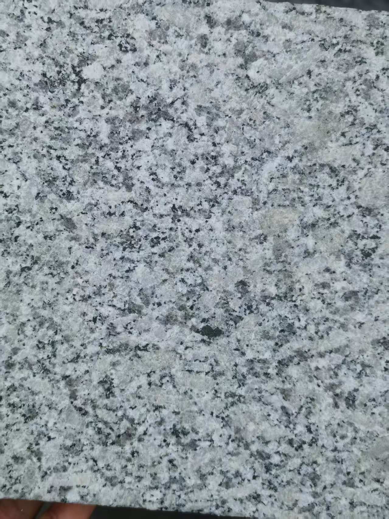 普洱 芙蓉白火烧面